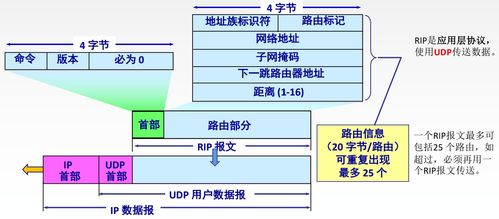 王道考研計算機網絡第四章 網絡層——數據轉發的核心樞紐